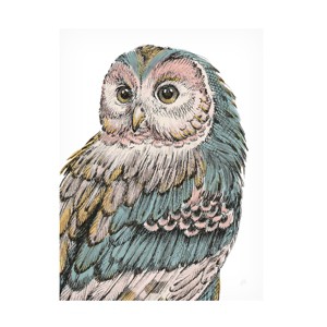 Trademark Fine Art -Daphne Brissonnet 'Beautiful Owls I Pastel' Canvas Art - 1 of 4