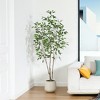 DR.Planzen 5-7FT Artificial Ficus Tree with Round White Planter, Pre Potted Faux Plant with White Border Leaves for Indoor Home Decor - 2 of 4