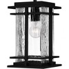 Quoizel Lighting McAlister 1 - Light Pendant in  Earth Black - 3 of 3