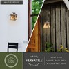 Vaxcel Whitebark 1 - Light Sconce in  Olde World Patina - 4 of 4