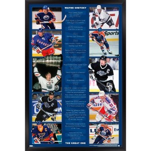 Trends International Wayne Gretzky - Stats Framed Wall Poster Prints - 1 of 4