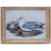 Framed Bird Print 13"H, Fir Wood Frame Under Glass Coastal Wall Decor by Melrose - 2 of 2