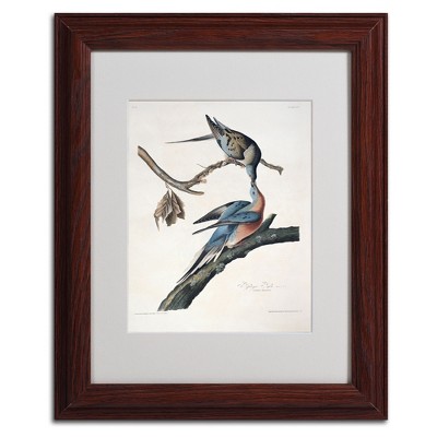 Trademark Fine Art -John James Audubon 'Passenger Pigeon' Matted Framed Art