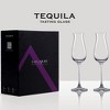 LEMONSODA Specialty Cordial Glasses - Set of 2 - 8 oz - 4 of 4