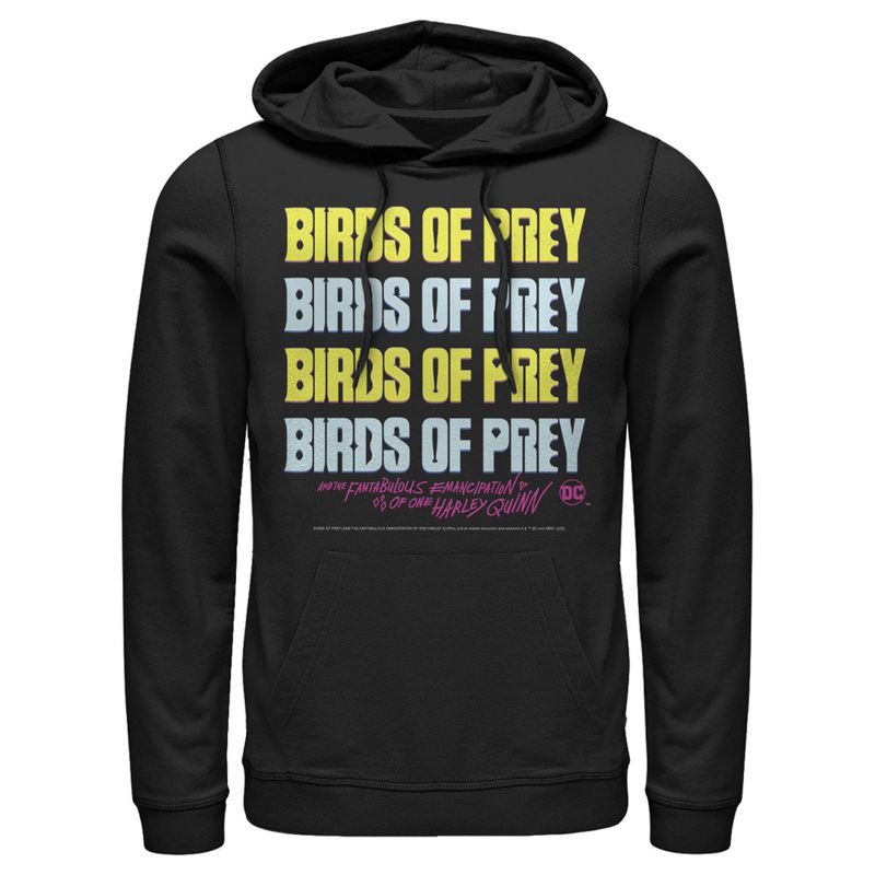 Men's Birds of Prey Logo Stack Pull Over Hoodie, 1 of 4