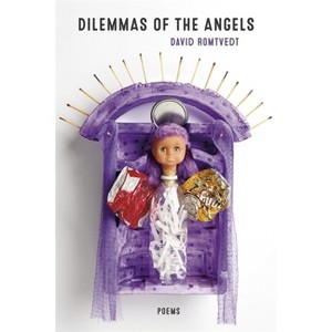 Dilemmas of the Angels - by  David Romtvedt (Paperback) - 1 of 1