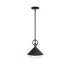 Artcraft Lighting Abruzzo 1 - Light Pendant in  Black - 4 of 4
