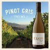 Erath Pinot Gris White Wine - 750ml Bottle - 3 of 4