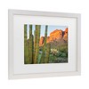 Trademark Fine Art - Alan Majchrowicz Organ Pipe Cactus National Monument Arizona Matted Framed Art - 3 of 4