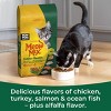 Meow Mix Indoor Health with Flavors of Chicken, Turkey ,Ocean Fish & Salmon Adult Complete & Balanced Dry Cat Food - 6.3lbs - image 4 of 4