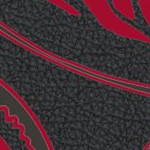 tampa bay buccaneers