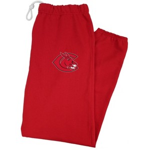 University of Central Missouri Officially Licensed Apparel - Primary Logo School Color Jogger Sweatpants - 1 of 4