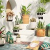 11.42" Indoor/Outdoor Earthenware Ceramic Planter Cream - Opalhouse™ designed with Jungalow™ - image 2 of 4