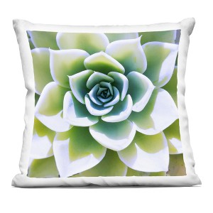 Stupell Industries Green Succulent Close Up Gardening Indoor Decorative Throw Pillow, 18 x 18 - 1 of 3