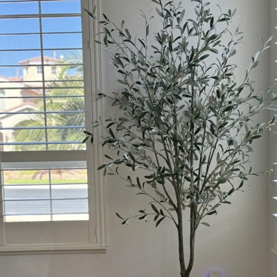Guest review image 1 of 3, zoom in