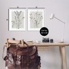 Stupell Industries Delicate Wildflower Herb Sprigs 2pc Framed Giclee Art Set - 3 of 4