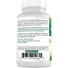 Gymnema Sylvestre 500 mg 120 Capsules - 4 of 4