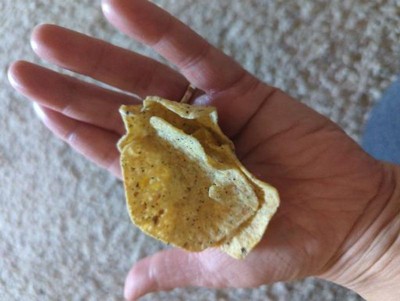 Tostitos Multigrain Scoops! Tortilla Chips-10oz : Target