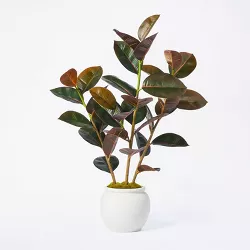 35" Artificial Rubber Tree - Threshold™ designed with Studio McGee