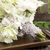 Sullivans Cream Ivory Bead Garland 60"L Off-White - 2 of 4