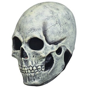 Ghoulish Adult Skull Glow Costume Mask -  - White - 1 of 1