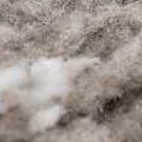 gray, off white, black