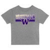 NCAA Washington Huskies Toddler Boys' 2pk T-Shirt - 2 of 3