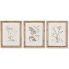 Plum & Post Botanical Illustrations Set of 9 - 3 of 4