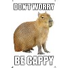 Trends International Capybara - Be Cappy Unframed Wall Poster Prints - 4 of 4