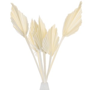 Unique Bargains Dried Natural Boho Palm Leaf Bulk - 1 of 4