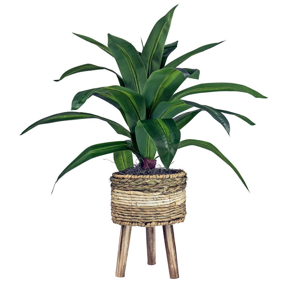 Photos - Other Decoration 24" x 24" Artificial Dracaena Plant in Basket Stand - LCG Florals: Indoor