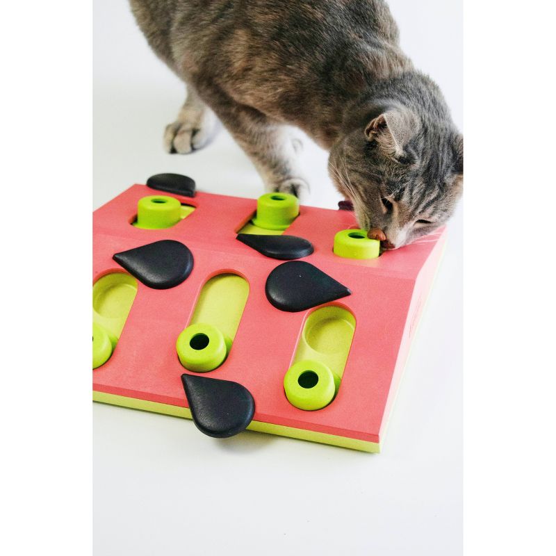 Petstages Nina Ottosson Melon Madness Interactive Treat Puzzle Cat Toy, 3 of 8