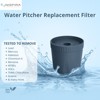 Nispira Water Pitcher Filter Replacement For Epic Nano Pitcher Removes Fluoride, Chlorine, Lead, Odor and More 150 Gallon, 1 Pack - 3 of 4
