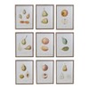 Storied Home (Set of 9) Reclaimed Wood Framed Fruit Print Wall Art Set: MDF, Modern Decor, Vertical Canvas, Sawtooth Back - 2 of 4