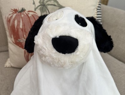 Guest review image 2 of 2, zoom in