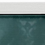 coastal white