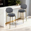 ChicFurnit Dining Chairs 2 PCS Round Bar Stools Bar Chairs Armless Velvet Barstools for Counter, Kitchen Island, Gray, 15.74"*15.35"*41.34" - 4 of 4
