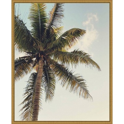 16" x 20" Coconut Palm by Olivia Joy Framed Canvas Wall Art - Amanti Art