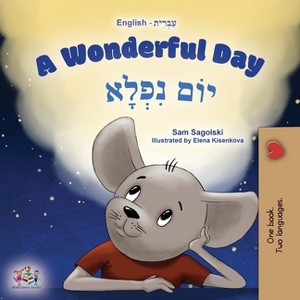 A Wonderful Day (English Hebrew Bilingual Children's Book) - (English Hebrew Bilingual Collection) by  Sam Sagolski & Kidkiddos Books (Paperback) - 1 of 1