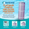 Hurricane 4 Pack HF8410-01P Platinum Purple Spa Cartridge Replacement for PJANCS200, Unicel C-8418, Filbur FC-0823, Jandy Industries CS 200 - 2 of 4
