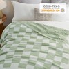 Snuggle Sac Super Soft Reversible Throw Blanket,Lightweight Textured Striped Throw,Checkered Style - 4 of 4