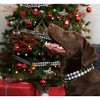 Country Brook Petz Deluxe Dog Collar - Christmas Collection - Made In The U.S.A. - 2 of 4
