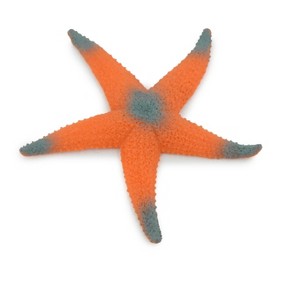 Collectible Wildlife Gifts | Starfish, Orange Sea Star, Ocean, Sea Life, Plastic Figure, Model, Realistic   Gift,     4"    F6019 B378 - 1 of 4