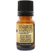 Plantlife Caraway Aromatherapy Essential Oil – 100% Pure, Therapeutic Grade, No Additives or Fillers, 10 ml - 2 of 2
