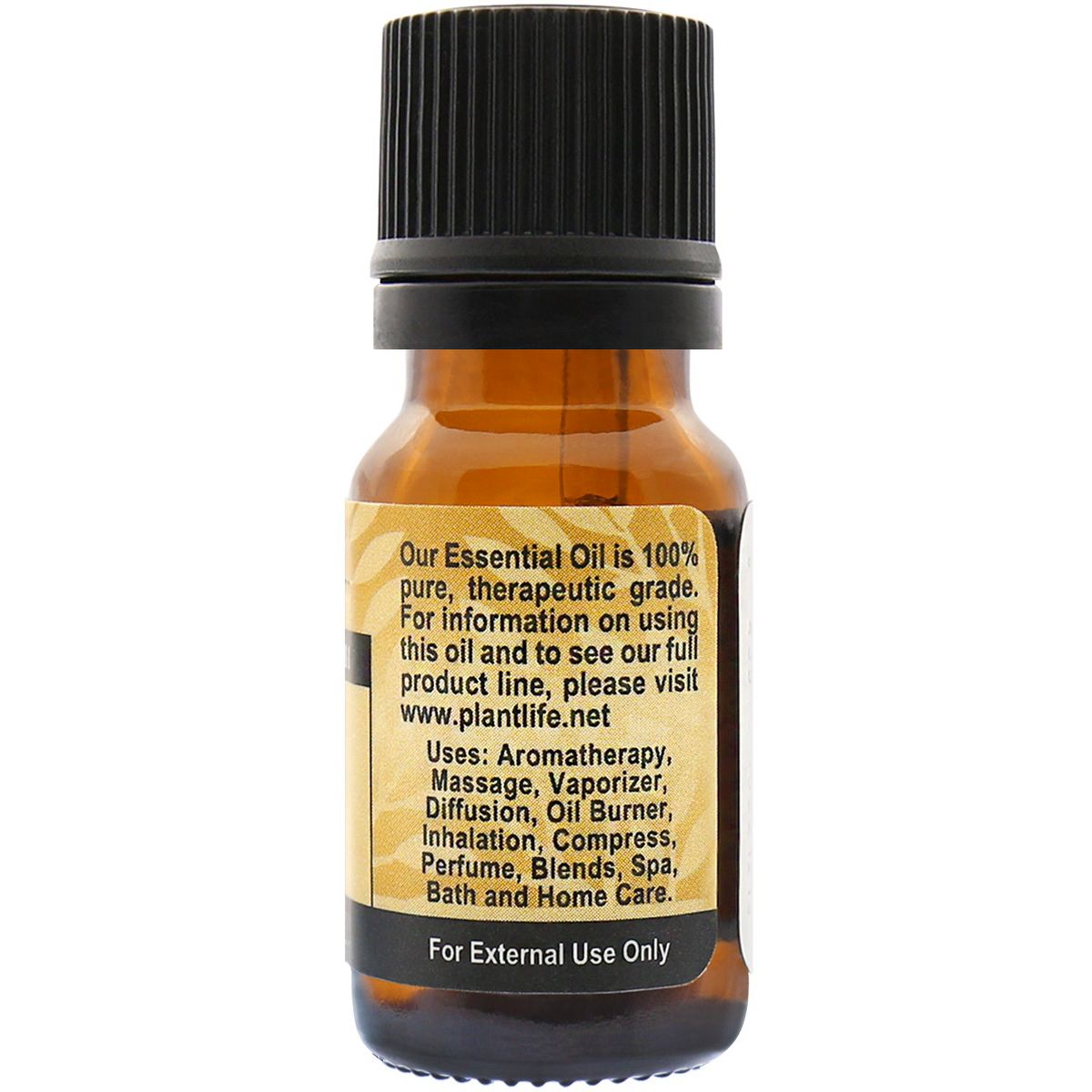Plantlife Caraway Aromatherapy Essential Oil – 100% Pure, Therapeutic Grade, No Additives or Fillers, 10 ml - thumbnail 2