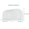 GustoWave  Walk-in Greenhouse  with 4 Ventilated Mesh Windows & Zippered Roll-Up Door - 3 of 4