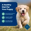 Blue Buffalo Life Protection Lamb & Oatmeal Recipe Puppy Dry Dog Food - 30lbs - 4 of 4