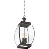 Quoizel Lighting Oasis 3 - Light Pendant in  Medici Bronze - 4 of 4