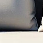 natural wood-louvered