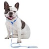 Unique Bargains Slip Leads for Dogs 1 Pc - 2 of 4